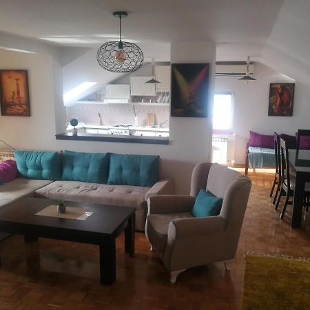 Apartment Nedic Добой Экстерьер фото